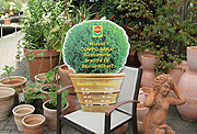 Für wichtige Botschaften – Transparente/Plakatträger
